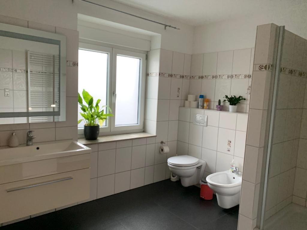 Guenstige Zimmer-Unterkunft Zimmer Mit Gemeinschaftsbad Lörrach Esterno foto