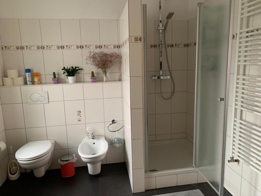 Guenstige Zimmer-Unterkunft Zimmer Mit Gemeinschaftsbad Lörrach Esterno foto