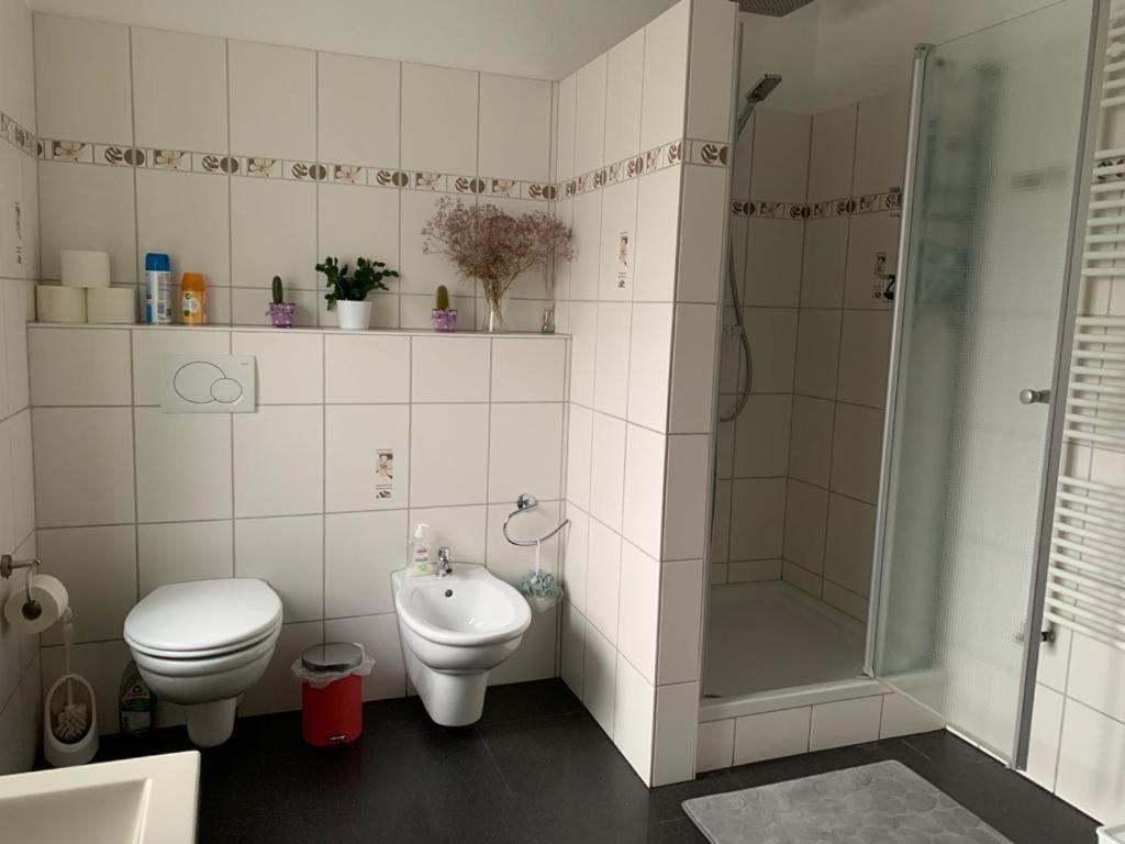 Guenstige Zimmer-Unterkunft Zimmer Mit Gemeinschaftsbad Lörrach Esterno foto