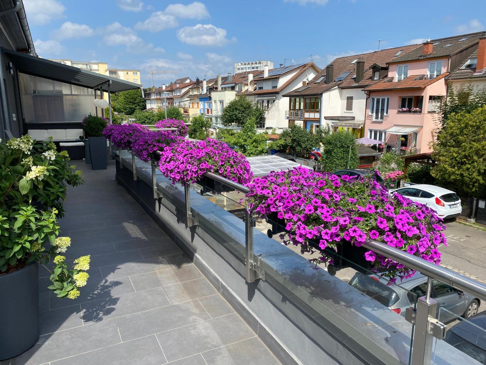 Guenstige Zimmer-Unterkunft Zimmer Mit Gemeinschaftsbad Lörrach Esterno foto